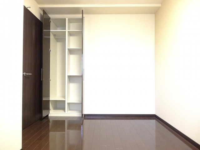 約6.0畳の洋室の収納