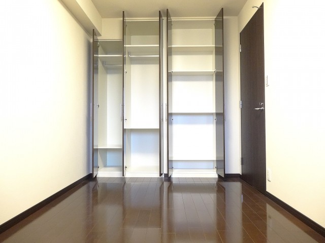 約6.0畳の洋室の収納