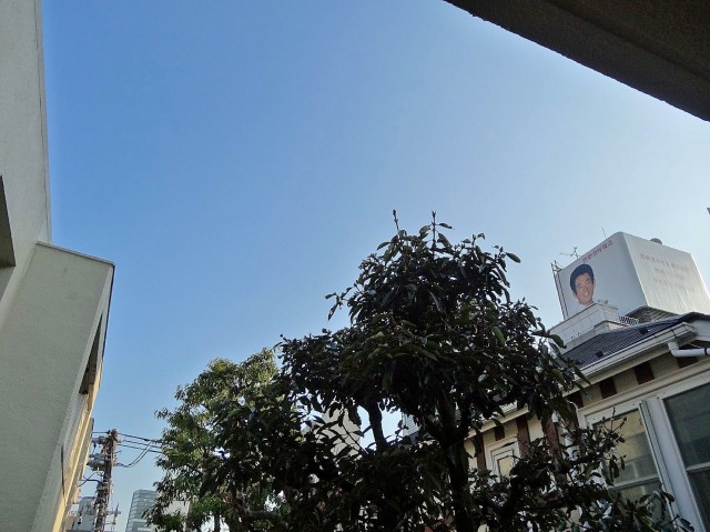 陽輪台松濤　ウッドデッキ外