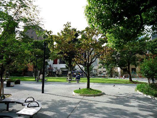 ドルチェ日本橋シティターミナル　周辺環境