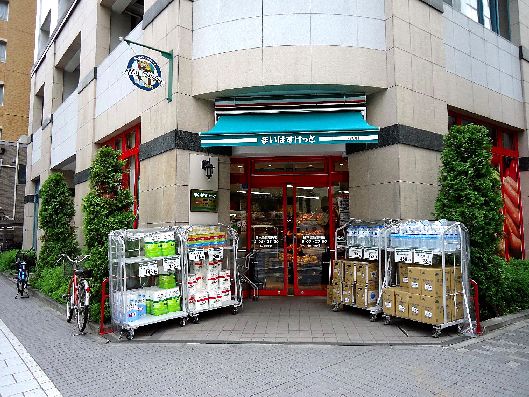 ドルチェ日本橋シティターミナル　周辺環境