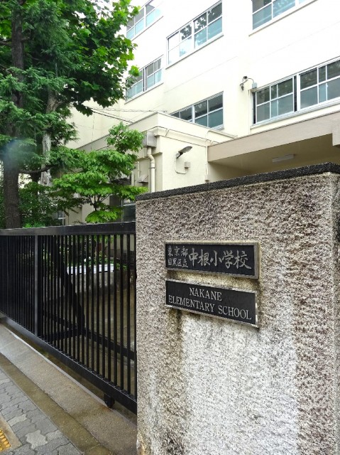 マンション都立大　小学校