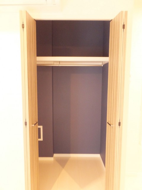 ステートリーホームズ南麻布　洋室約6.5帖収納