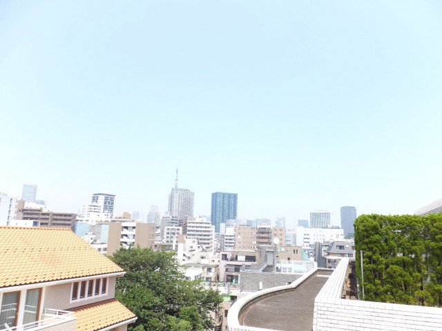 ステートリーホームズ南麻布　眺望