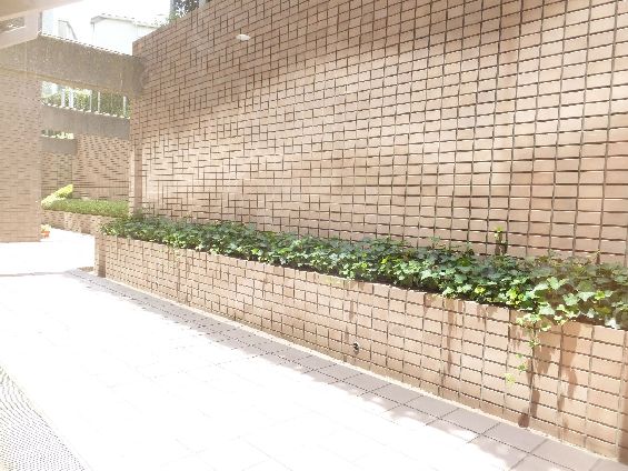 世田谷弦巻ハイム