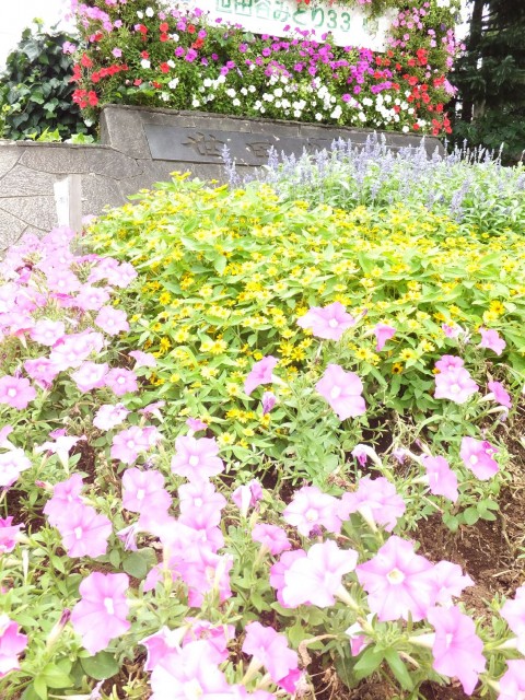 ダイアパレス世田谷公園