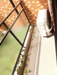 パレドール用賀