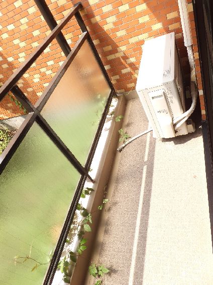 パレドール用賀