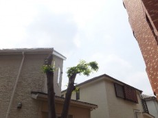 パレドール用賀