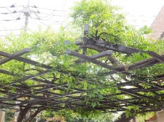 パレドール用賀