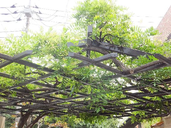 パレドール用賀