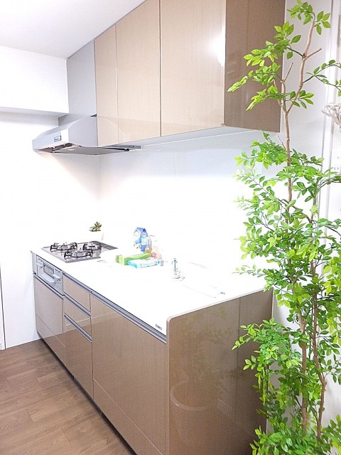 ライオンズマンション東麻布　キッチン