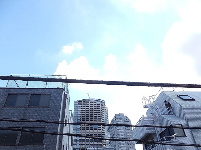 ライオンズマンション東麻布　眺望