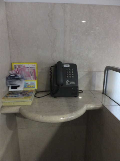 ラディエンス世田谷・若林　公衆電話