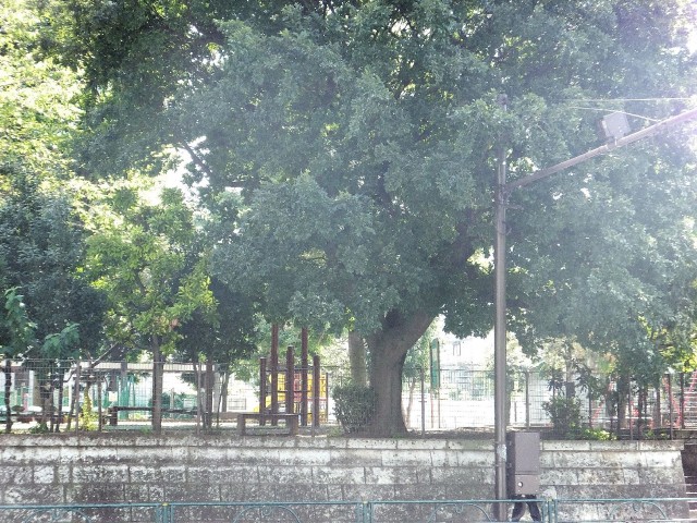 菱和パレス西麻布