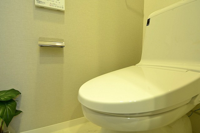 馬事公苑前ハイム2号棟　トイレ603