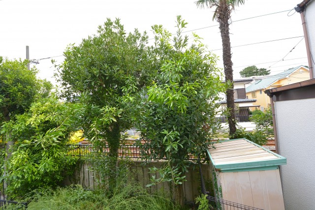 ライオンズマンション赤堤第2　眺望