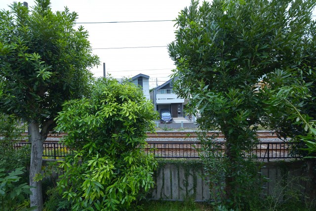 ライオンズマンション赤堤第2　眺望