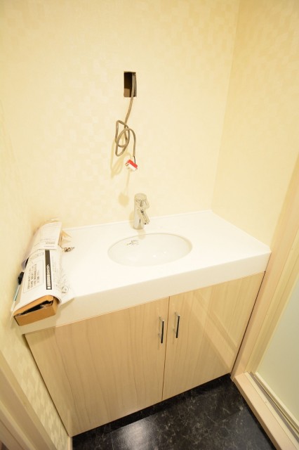 藤和三田コープⅡ　洗面化粧台