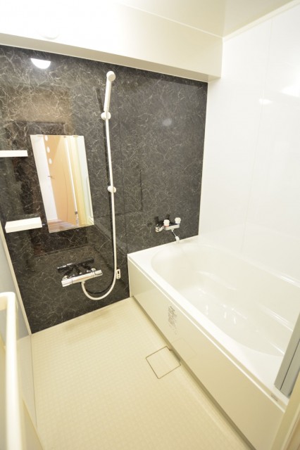 藤和三田コープⅡ　バスルーム