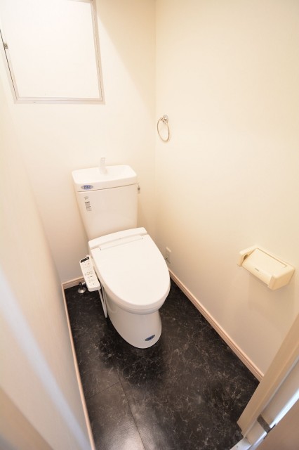 藤和三田コープⅡ　トイレ