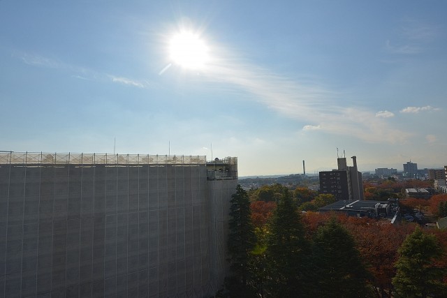 気持ちの良い眺めが楽しめます。