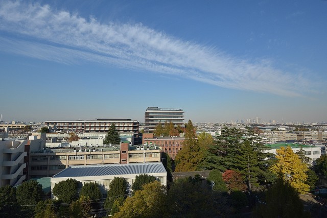 玄関前からの清々しい眺め