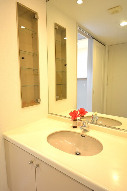 1枚鏡の洗面化粧台