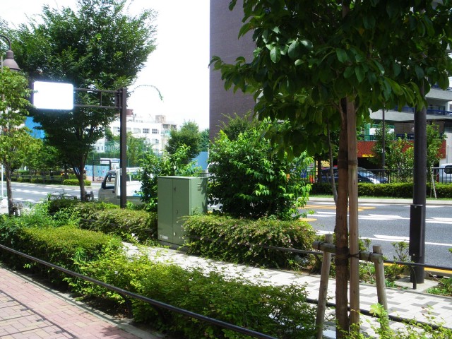 グリーンコーポ東中野