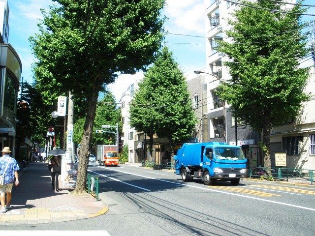 目白シティハウス　周辺