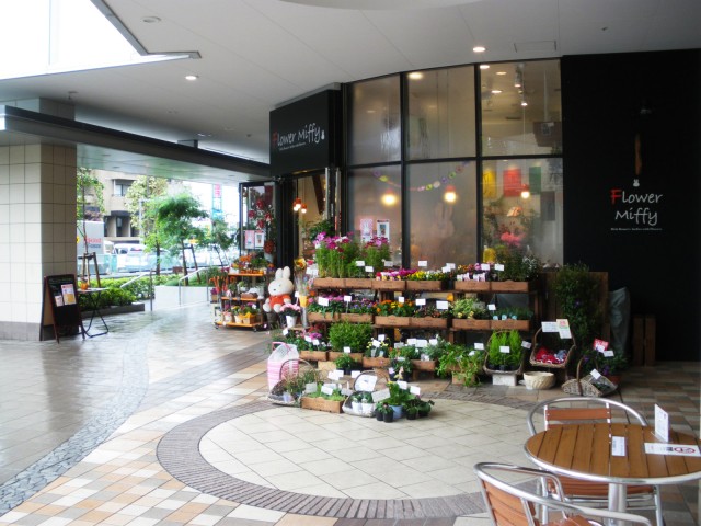 サントーア哲学堂公園　周辺