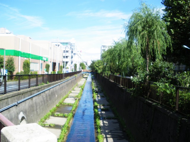 「レクセルマンション笹塚」