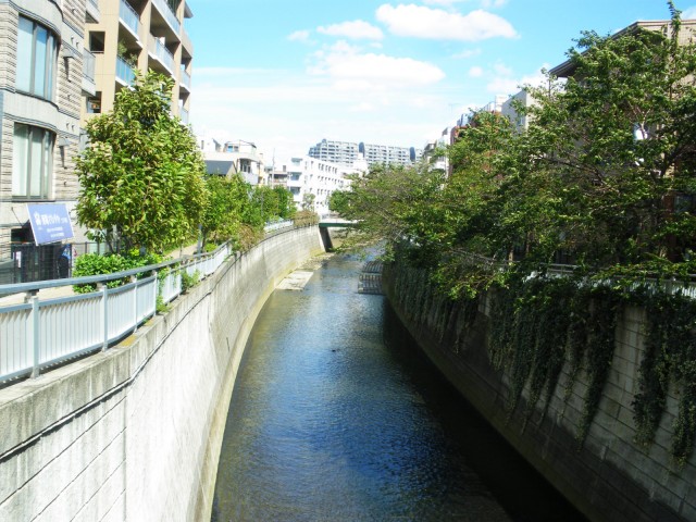 グランドテラス新宿　周辺