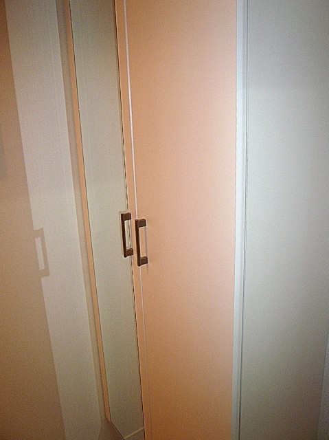 ライオンズマンション池田山　シューズBOX