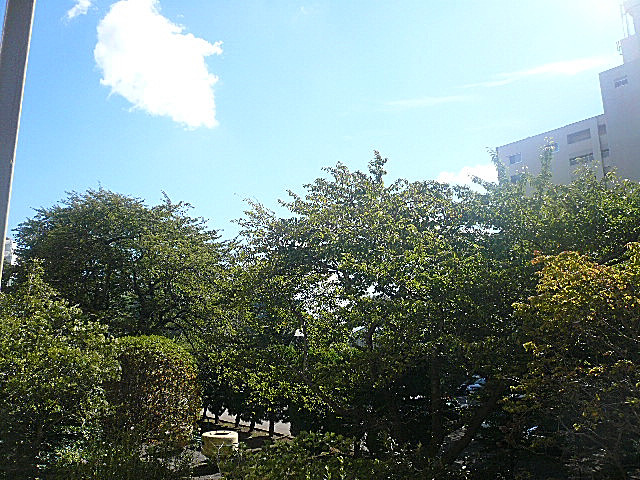 馬事公苑前ハイム2号棟　眺望
