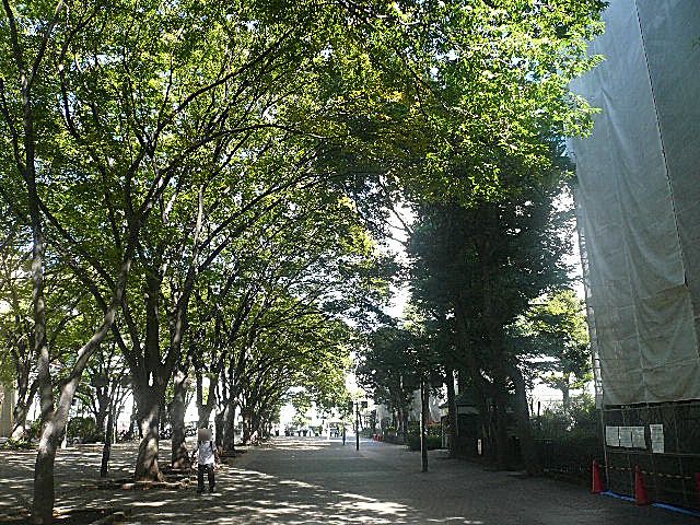 パシフィック馬事公苑前