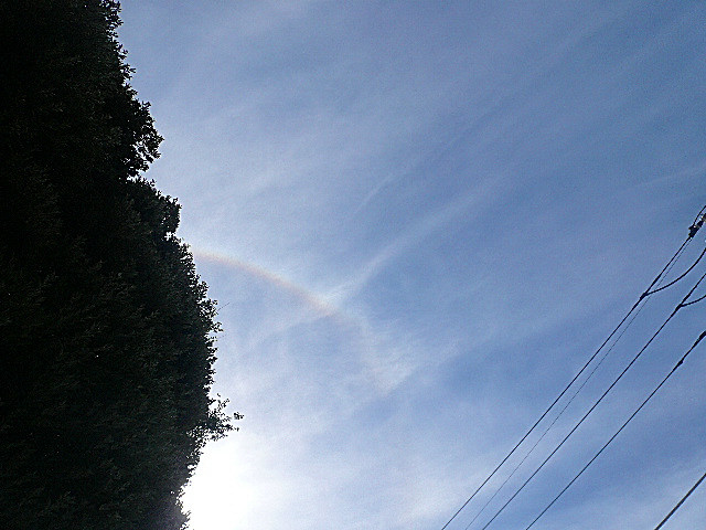 パシフィック馬事公苑前