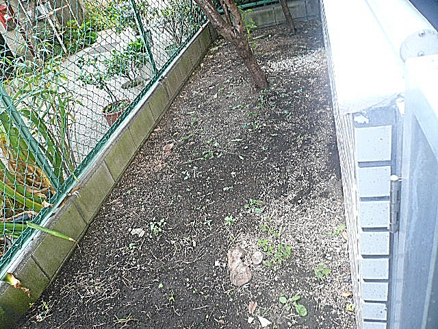 ユニーブル武蔵小山