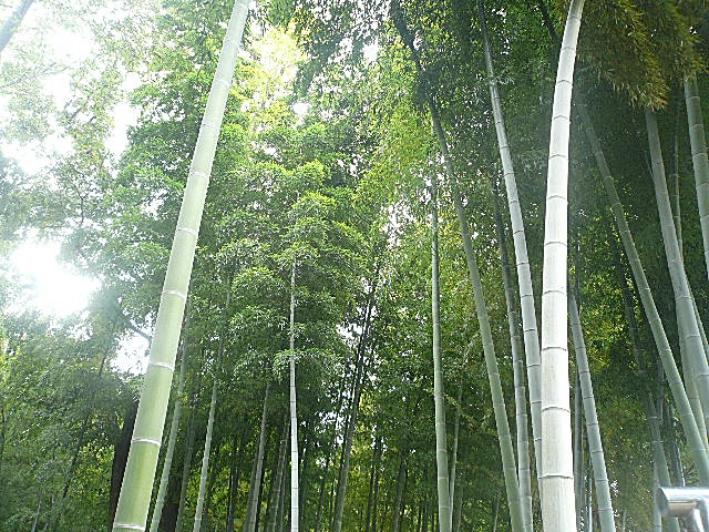 藤和碑文谷ホームズ