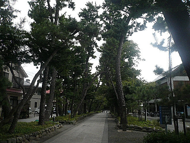 チサンマンション自由が丘