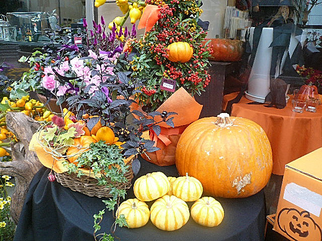 ライオンズマンショングリーン白金　周辺環境