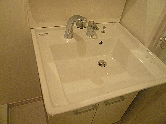 ライオンズマンショングリーン白金　洗面ボウル