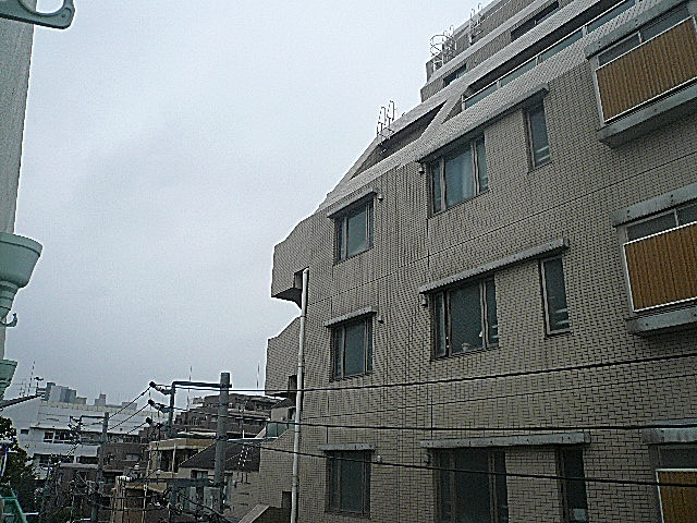 ライオンズマンショングリーン白金　眺望