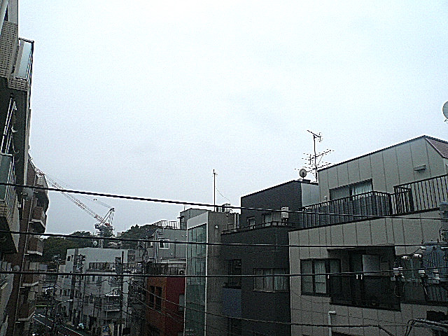 ライオンズマンショングリーン白金　眺望