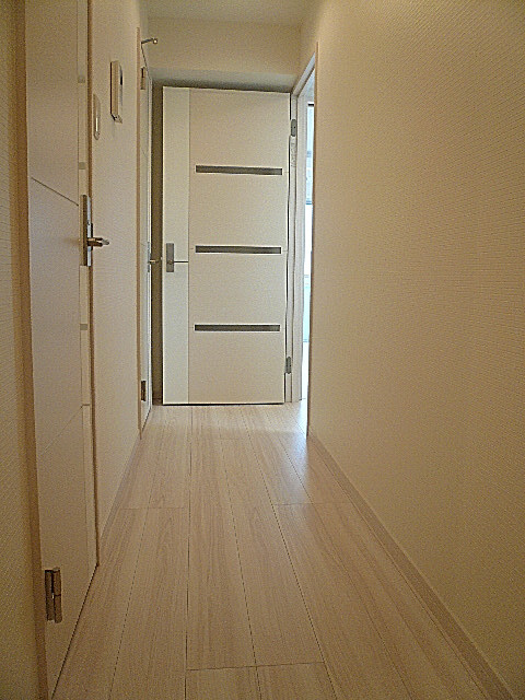 ライオンズマンショングリーン白金　廊下
