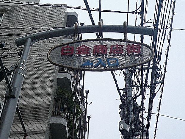 ライオンズマンショングリーン白金　周辺環境