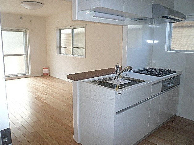 マンション都立大　白を基調としたＬＤＫ11.7帖　203