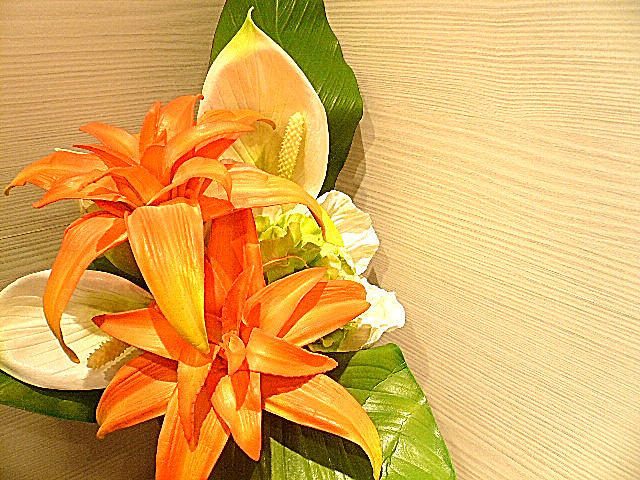 六本木ハイツ　玄関　カウンター部分　510