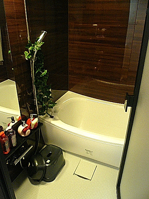 メゾン・ド・エビス　バスルーム