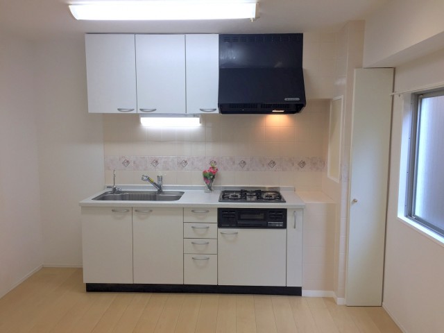 ライオンズマンショングリーン白金